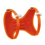 Petzl Body Coral