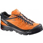 Salomon X Alp LTR GTX Clementine-X/BL/Alu