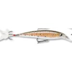 Rapala X-Rap 6cm XR-6 Brown Trout