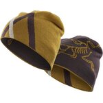 Arc'teryx Arc Mountain Toque Katalox/Centaur