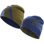Arc'teryx Arc Mountain Toque Triton/Dark Moss
