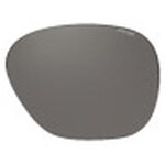Randolph Intruder Lens gray, frame 58 mm