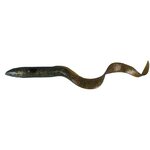 Savage Gear Real Eel 40cm / 147g 08 Motor Oil