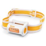 Silva Mino Orange