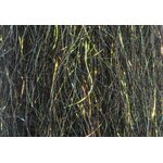 H2O Sculpting Flash Fibre Black