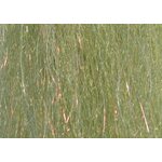 H2O Sculpting Flash Fibre Wild Olive