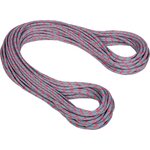 Mammut 9.5 Infinity Protect Standard 60m Shark - Pink