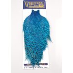 Whiting American Rooster Hackle Rooster Cape Grizzly King Fisher Blue