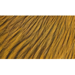 Whiting COQ De Leon Badger Dyed Copper Olive