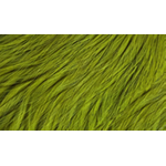 Whiting COQ De Leon Badger Dyed FL. Yellow Chart.