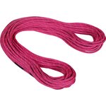 Mammut 9.5 Crag Dry Rope Pink-Zen (Dry Standard)