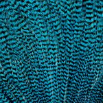 Metz #2 Magnum Rooster Neck Grizzly Blue