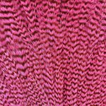 Metz #2 Magnum Rooster Neck Grizzly Pink