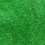 Wapsi Antron Dubbing Green