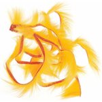 Wapsi Rabbit Zonkers FL. Orange