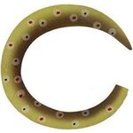Fly Dressing Custom Wiggle Tail Brown Trout