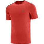 Salomon XA Trail Tee Mens Goji Berry