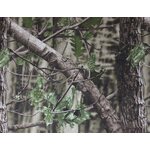 Live Decoys Camo Net - Natural Blind Natural Blind