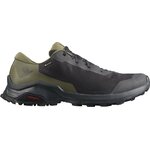 Salomon X Reveal GTX Men's Phantom / Burnt Olive / Black