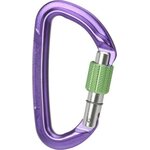 Wild Country Session Screw Gate Locking Carabiner Purple / Green