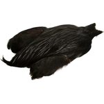 Whiting 4 B's Rooster Cape Black