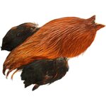 Whiting 4 B's Rooster Cape Brown