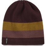 Arc'teryx Castlegar Striped Toque Phantasm