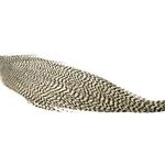 Whiting Pro Grade 1/2 Cape Grizzly