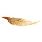 Whiting Pro Grade 1/2 Cape Barred Med Ginger