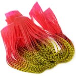 Fly Dressing Barred Fire Tip Sili Legs Hopper Yellow/ Red tip