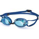 Head Venom Blue/Blue