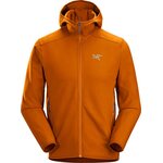 Arc'teryx Kyanite LT Hoody Mens Revel