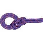Mammut 9.0 Crag Sender Dry Rope Ice-Sunrise