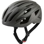 Alpina Path Coffee / Grey Matt