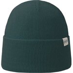 Superyellow Coast Beanie Pine Green
