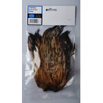 FTS Kukonniska Top Grade Badger