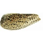 Veniard Pheasant Hen Ringneck Whole wings Natural