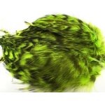 Fly Dressing Barred Strung Neck Hackle Fluo Chartreuse