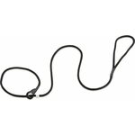 Firedog Moxon Leash Profi 6 mm Black