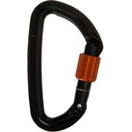 Wild Country Session Screw Gate Locking Carabiner Black / Tangerine