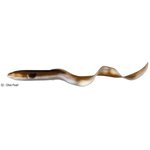 Savage Gear Real Eel 20cm Olive Pearl