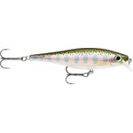 Rapala Balsa Xtreme 10cm BXM-10 Rainbow Trout (RT)