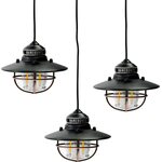 Barebones Edison Pendant String Lights Antique Bronze