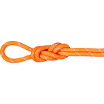 Mammut 9.5 Alpine Dry Rope Safety Orange-Zen (Dry Standard)