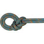 Mammut 9.9 Grag Workhorse Dry Rope Boa-Ocean (Dry Standard)
