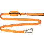 Paikka Visibility Leash for Dogs Orange