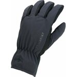 Sealskinz Waterproof All Weather Lightweight Glove Black