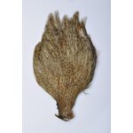 Wapsi Chinese Rooster Streamer Neck #2 Sculpin Olive Barred