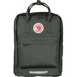 Fjällräven Kånken Big Forest Green (660)