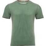 Aclima Lightwool T-Shirt Mens Dark Ivy